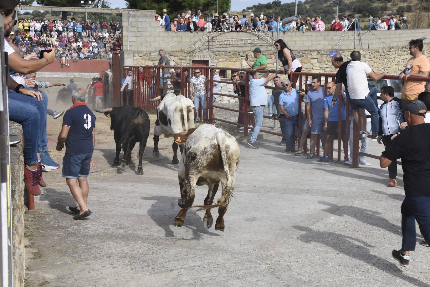 Lleno total en la «monumental» de Pereña de la Ribera