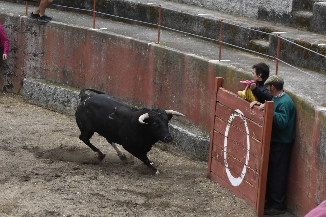 Fulminante último encierro de Pereña de la Ribera