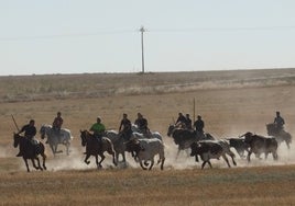 Fiestas de Macotera.