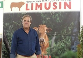 Pedro Domecq, presidente de la Federación Española de Criadores de Limusín