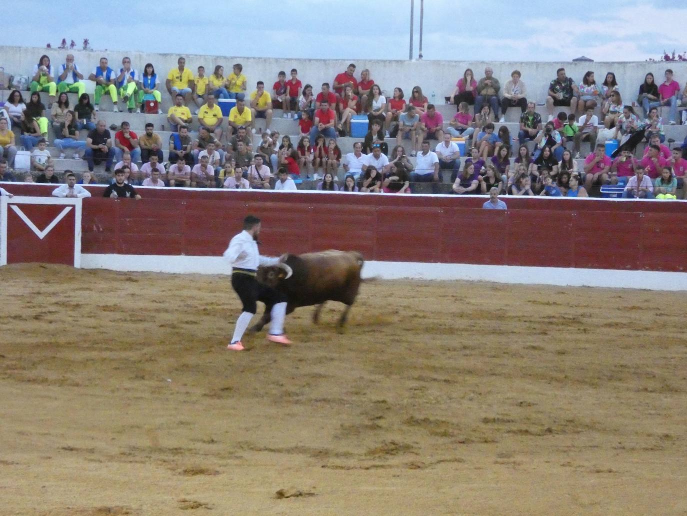 Tarde de riesgo y valentía en el concurso de recortes de Villoria