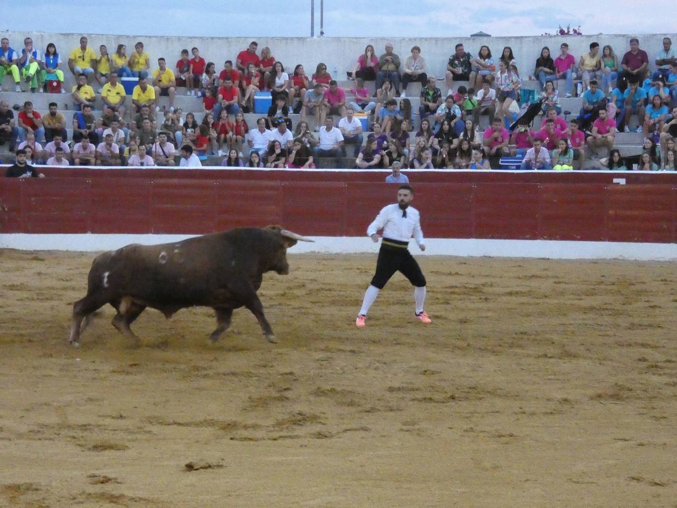 Tarde de riesgo y valentía en el concurso de recortes de Villoria