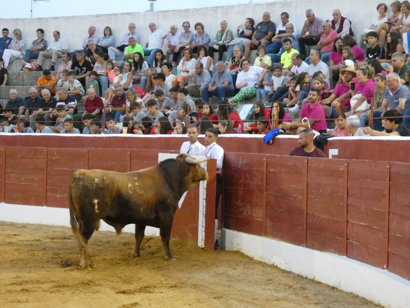 Tarde de riesgo y valentía en el concurso de recortes de Villoria