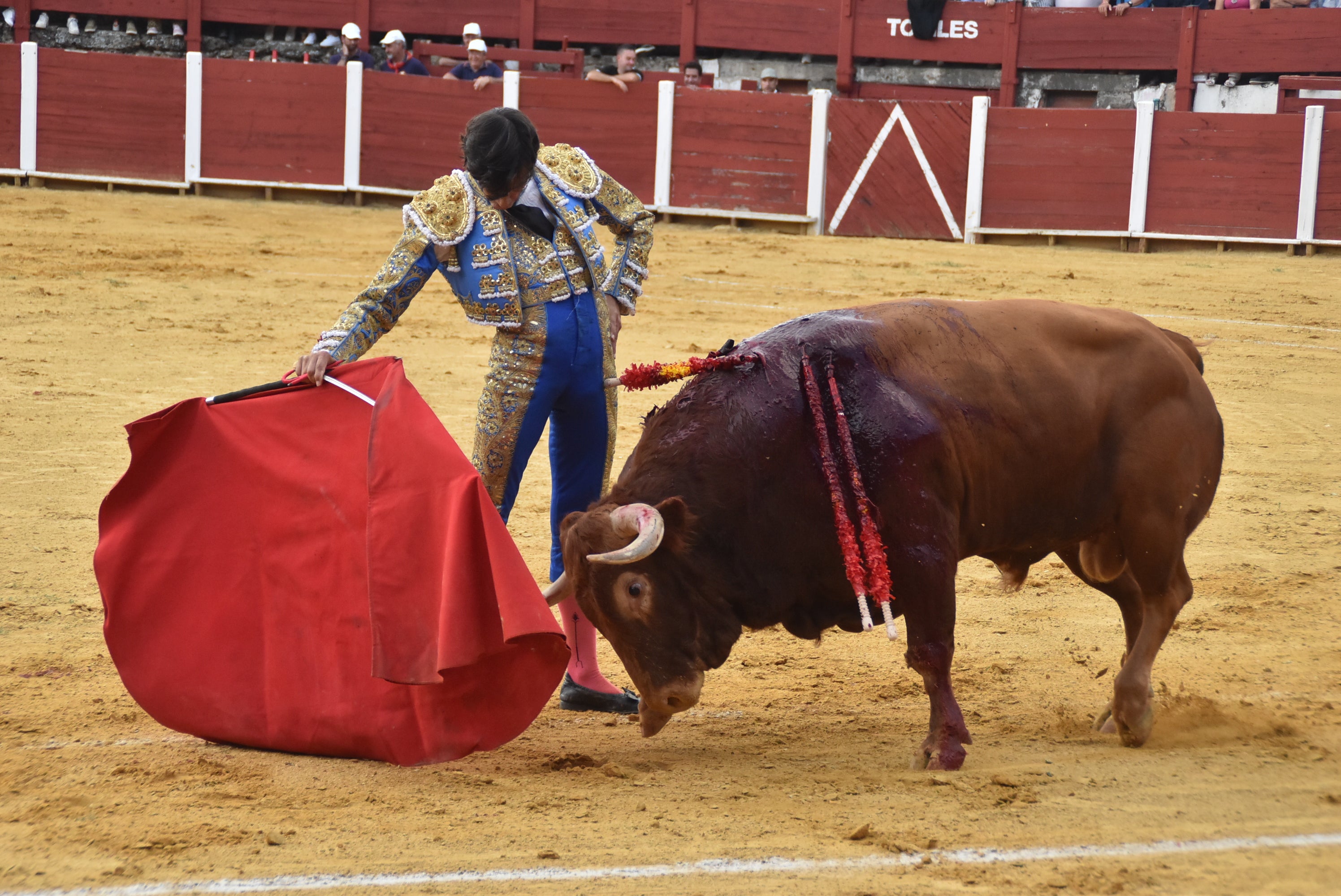 Buen ambiente en el festejo taurino de la Virgen en Béjar