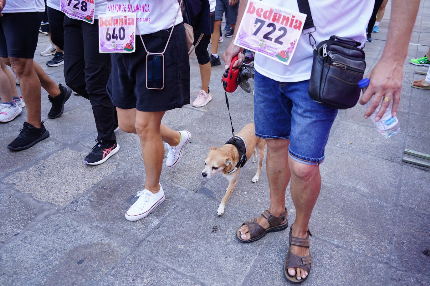 Las mejores imágenes de la Carrera contra la Violencia de Género