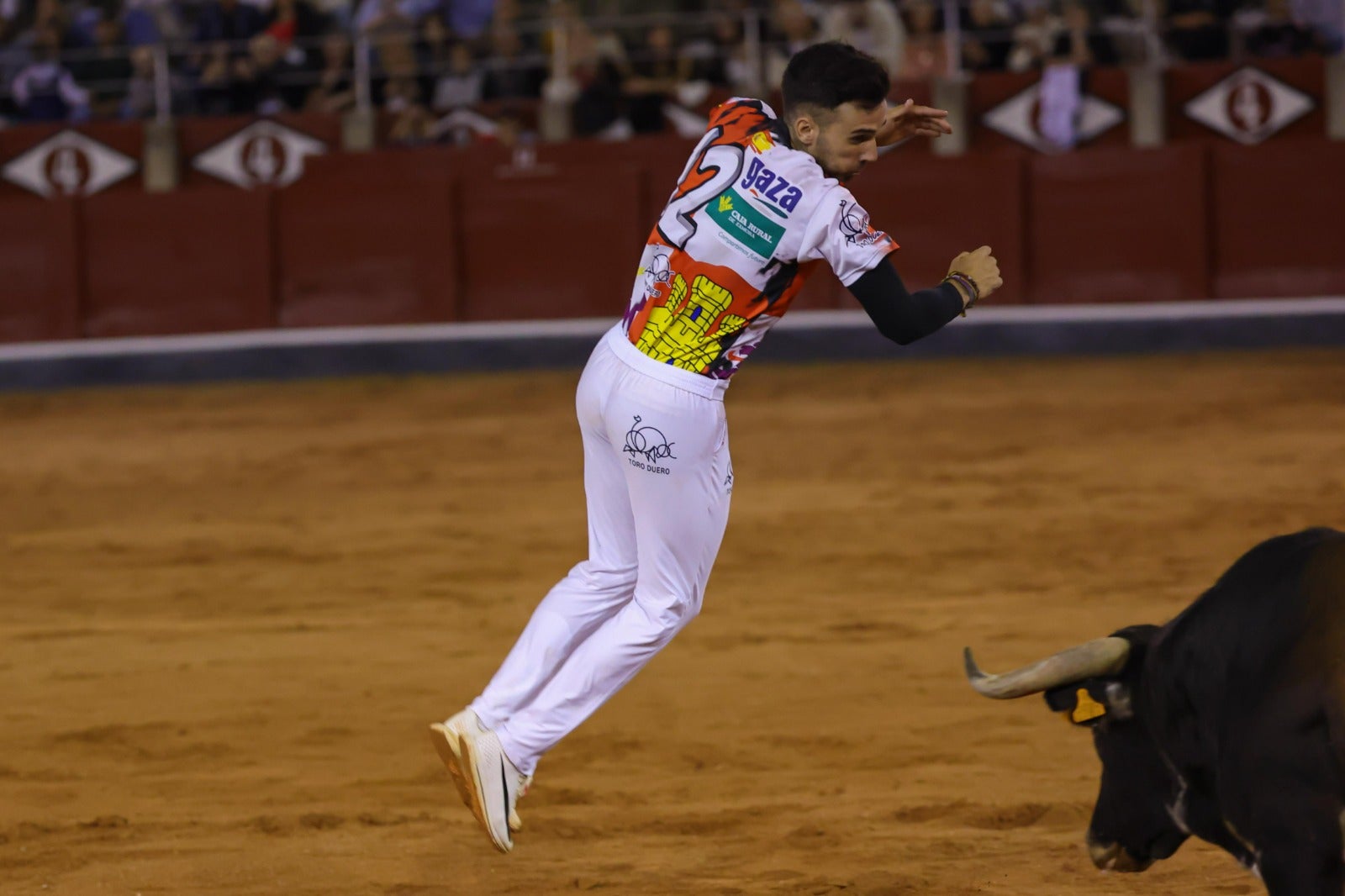 Las espectaculares imágenes del concurso de cortes en La Glorieta