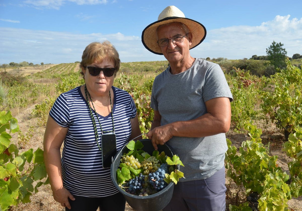 Dionisia Paniagua y Joaquín Rivero, en su viña.