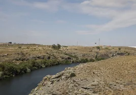 La vaca fue pastoreada hasta la zona del Polvorín, en la fotografía.