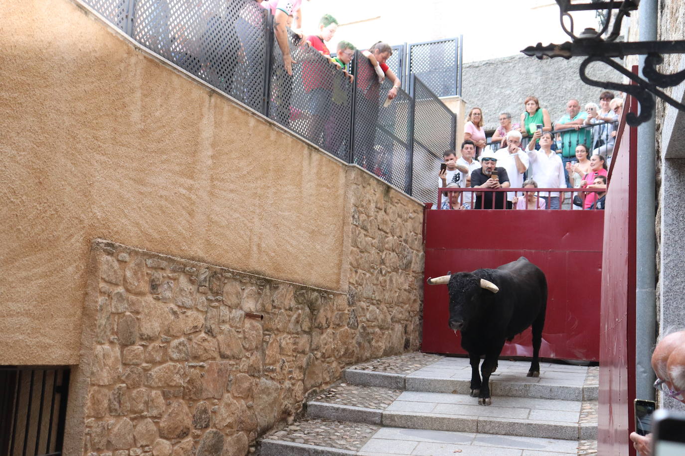 El toro no defrauda y llena San Esteban de la Sierra