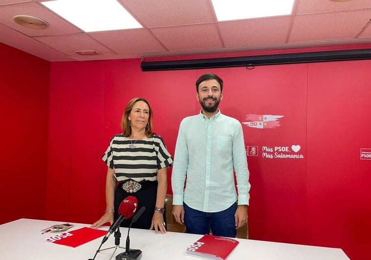 El PSOE pide el cese inmediato del consejero de Industria, Comercio y Empleo, Mariano Veganzones