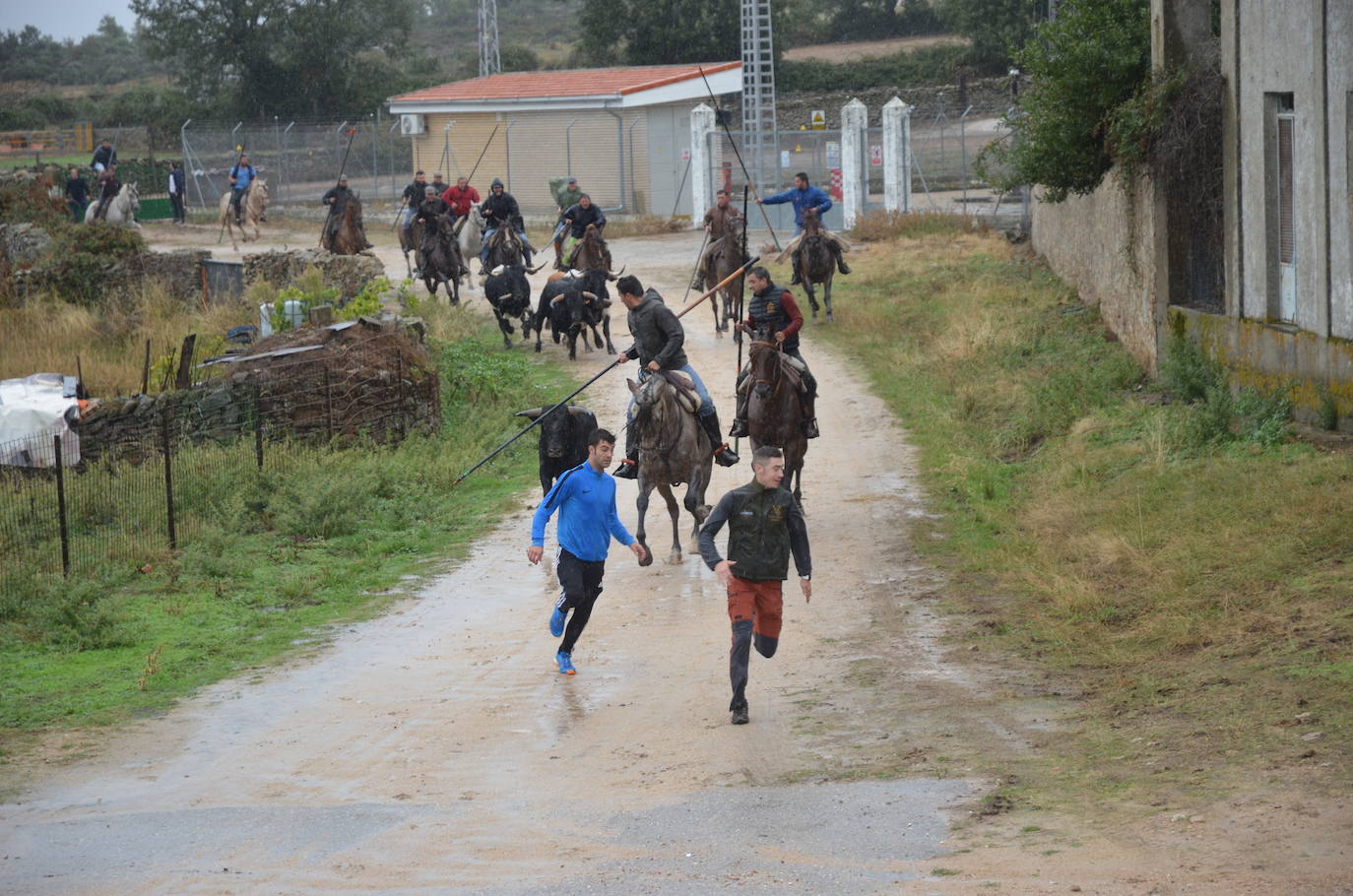 Tres encierros a caballo en uno en Barruecopardo