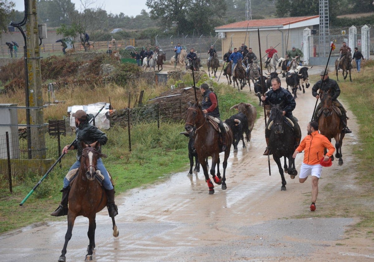 Tres encierros a caballo en uno en Barruecopardo