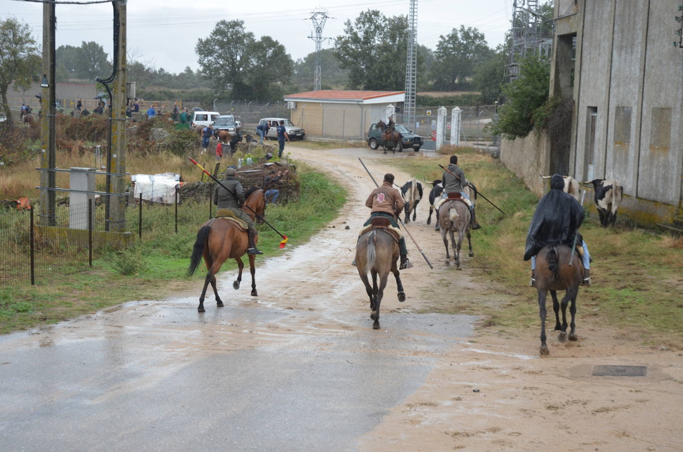 Tres encierros a caballo en uno en Barruecopardo