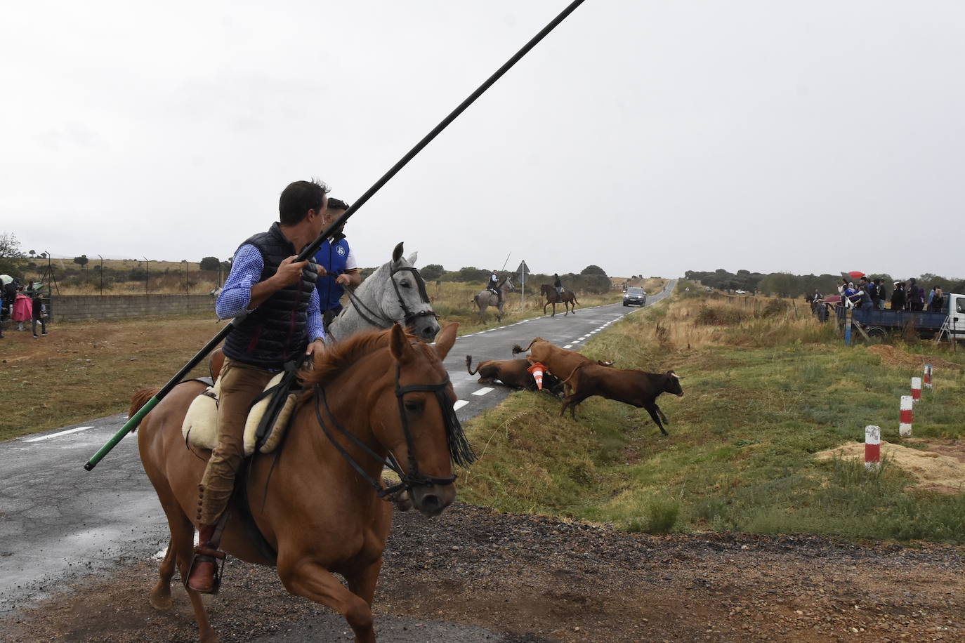 El agua no espanta ni a público ni a vacas en Aldehuela de Yeltes