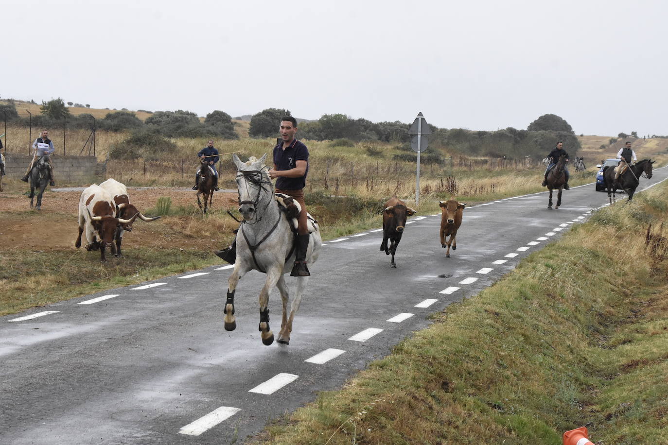 El agua no espanta ni a público ni a vacas en Aldehuela de Yeltes