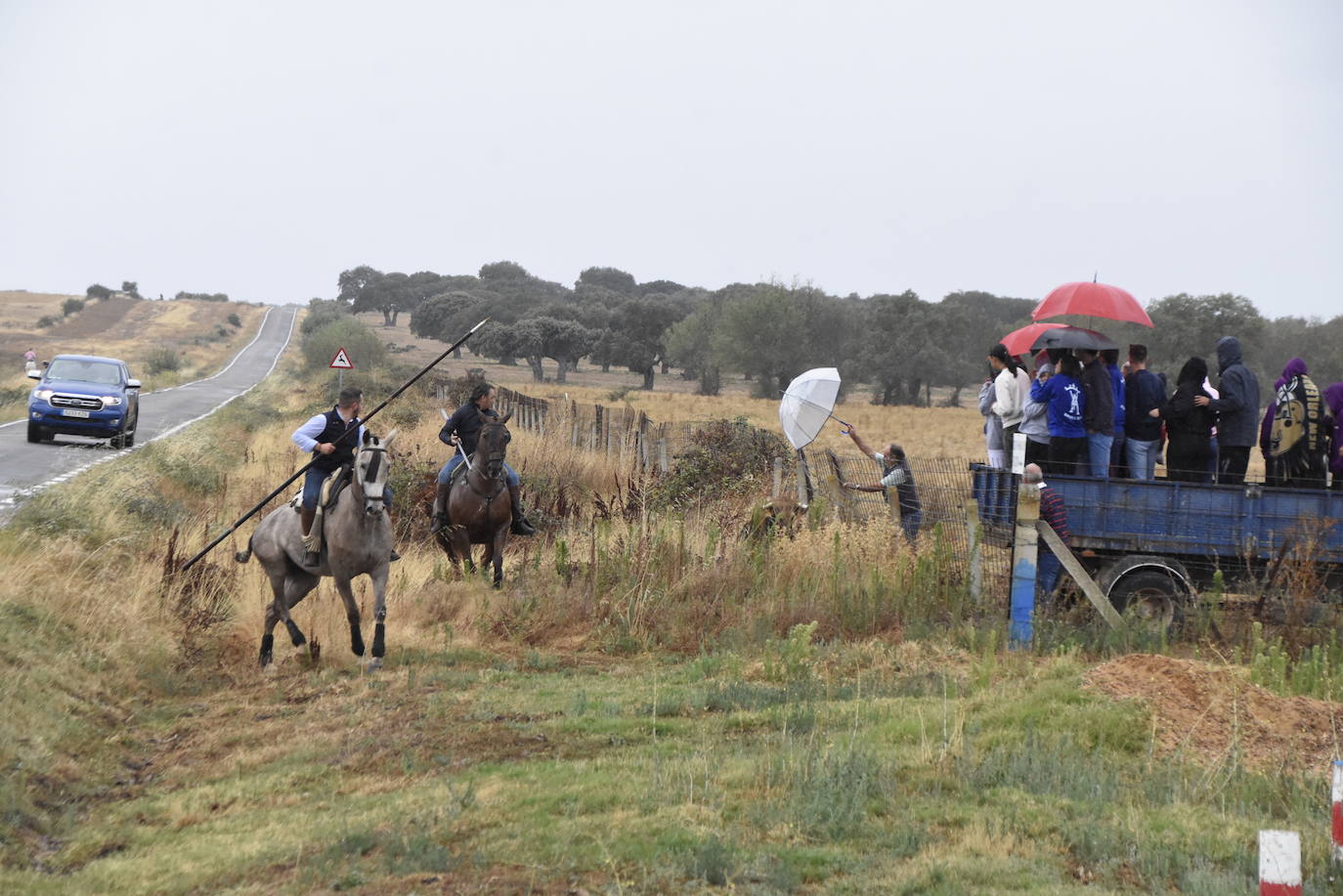 El agua no espanta ni a público ni a vacas en Aldehuela de Yeltes