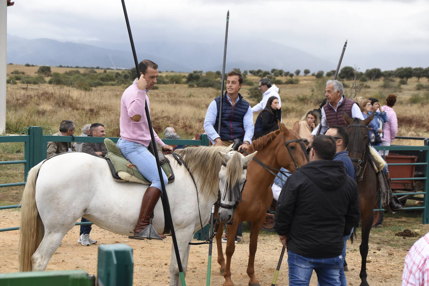 El agua no espanta ni a público ni a vacas en Aldehuela de Yeltes