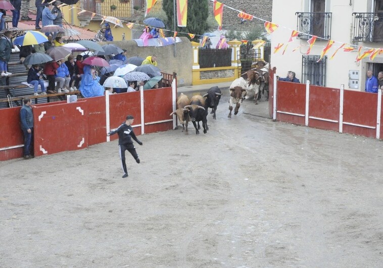 Emoción en un encapotado festejo con caballos en Bañobárez