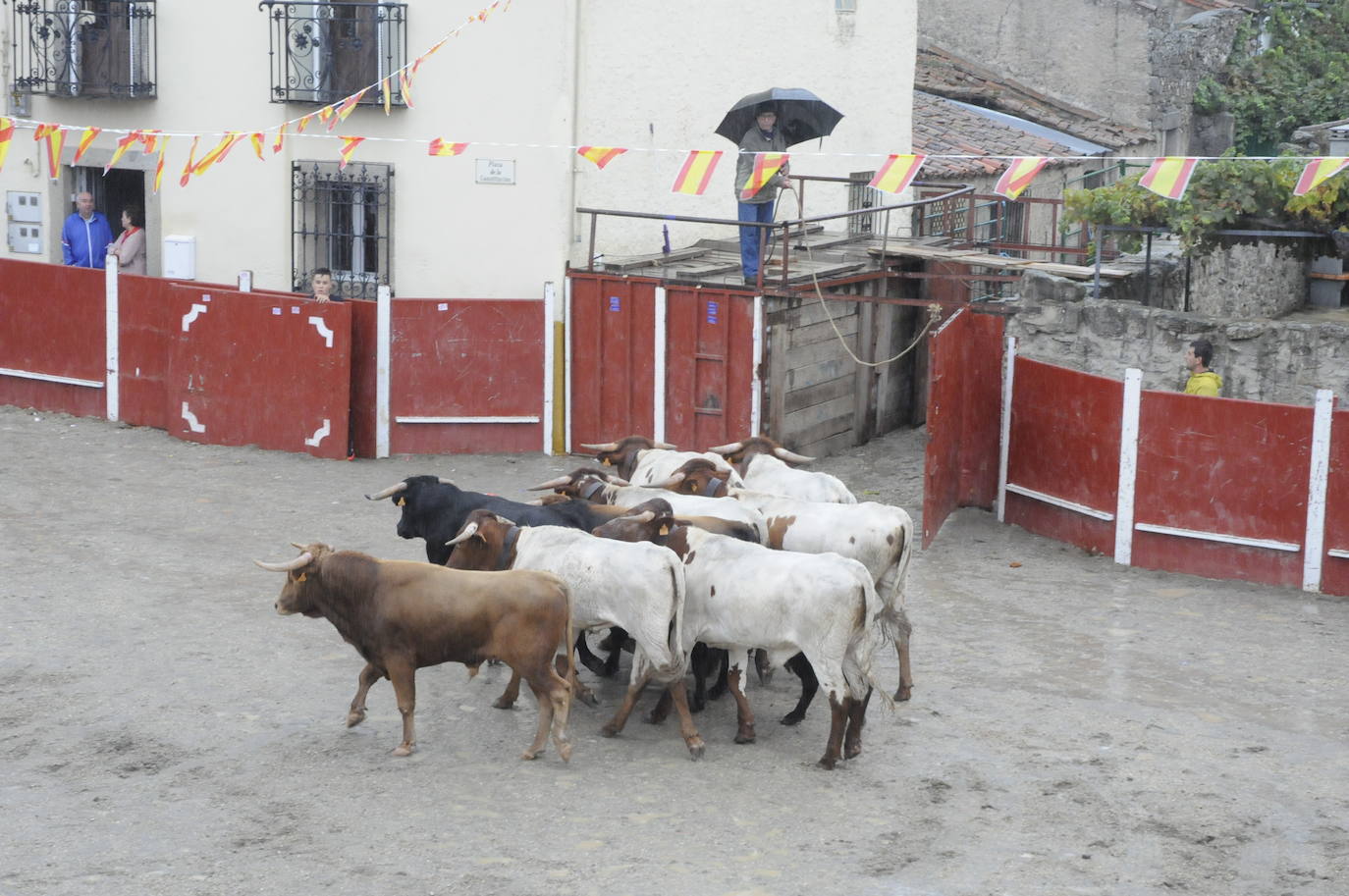 Emoción en un encapotado festejo con caballos en Bañobárez