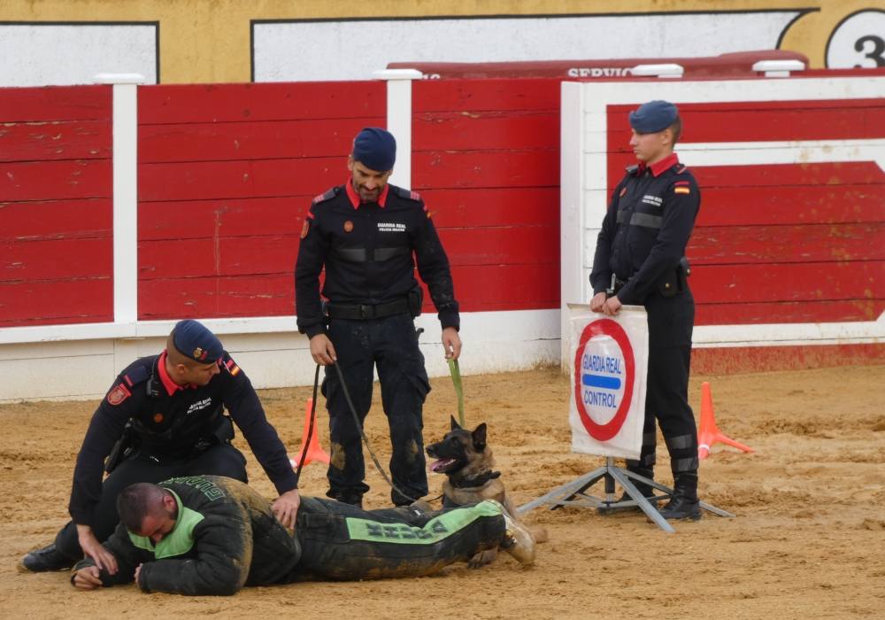 La Guardia Real se exhibe en La Florida de Peñaranda