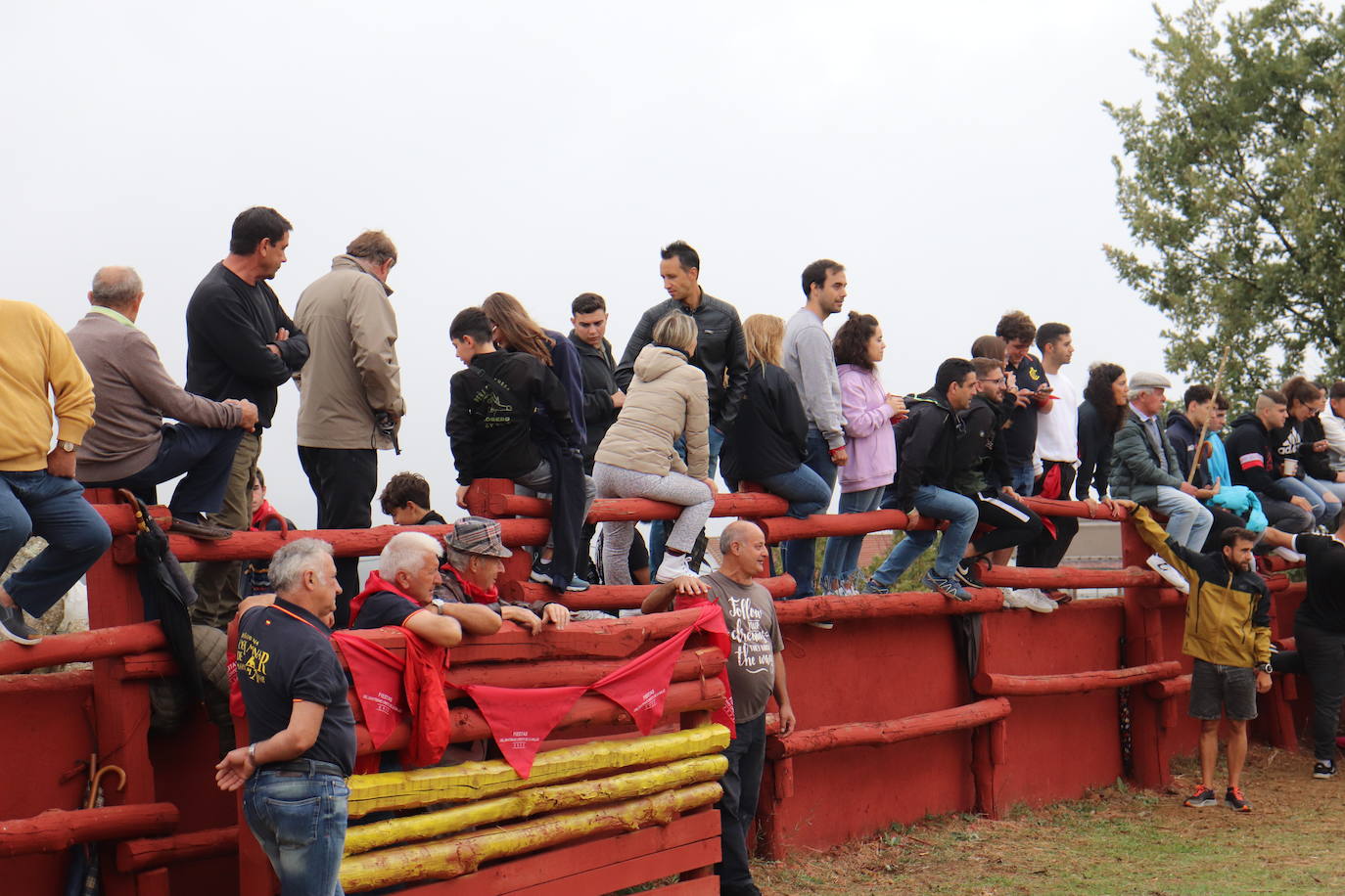 La lluvia no puede con las vaquillas de Colmenar de Montemayor