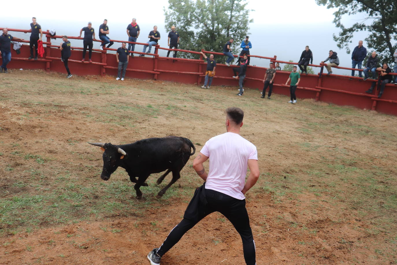 La lluvia no puede con las vaquillas de Colmenar de Montemayor