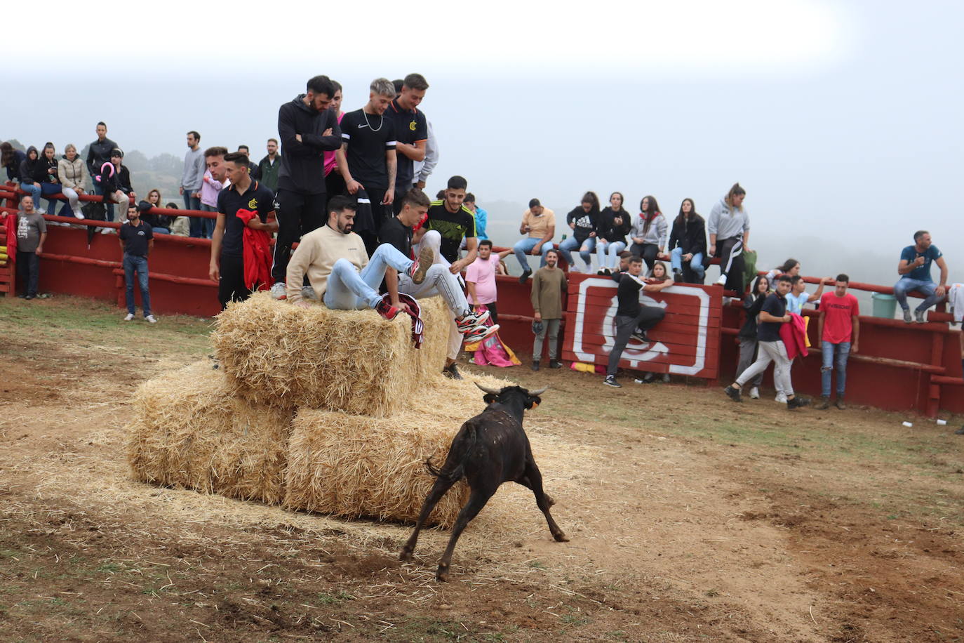 La lluvia no puede con las vaquillas de Colmenar de Montemayor