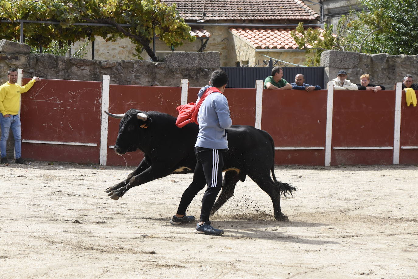 Despedida taurina a las fiestas de Bañobárez