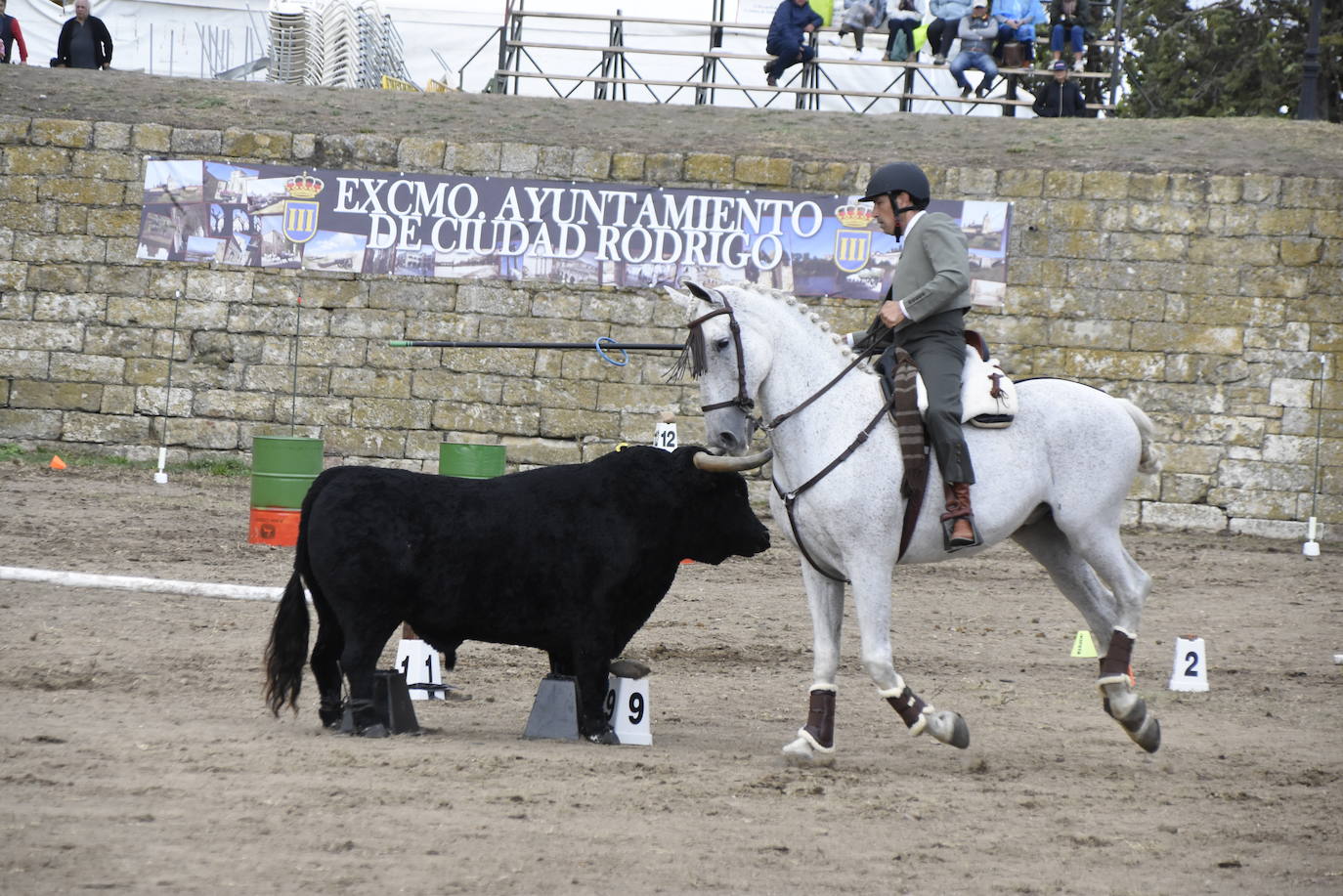 Las citas nacionales dan renombre a la Feria del Caballo de Ciudad Rodrigo