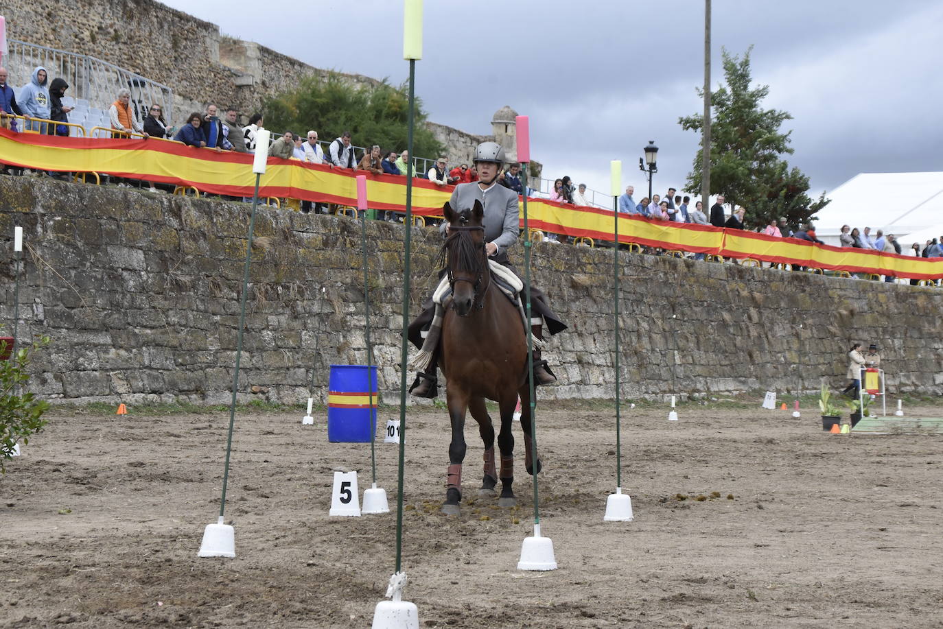 Las citas nacionales dan renombre a la Feria del Caballo de Ciudad Rodrigo