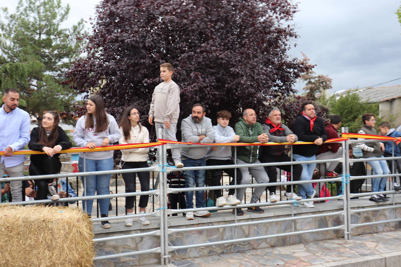 Cristóbal llena en la vuelta de las vaquillas a sus fiestas