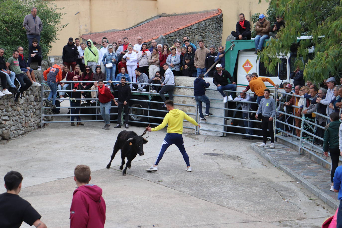 Cristóbal llena en la vuelta de las vaquillas a sus fiestas