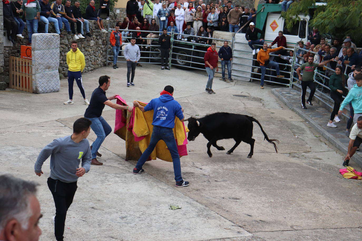 Cristóbal llena en la vuelta de las vaquillas a sus fiestas