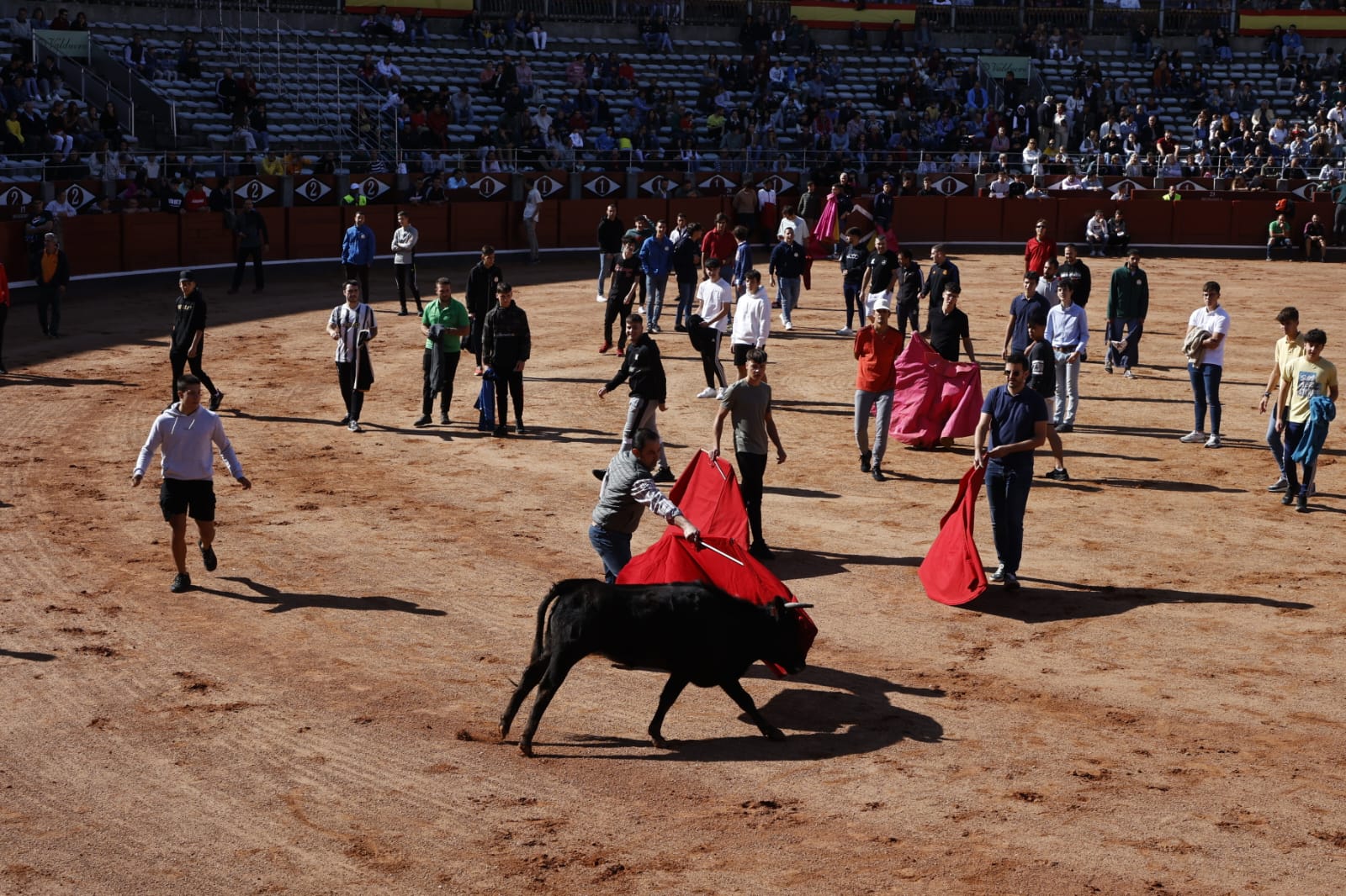 Las vaquillas regresan a La Glorieta