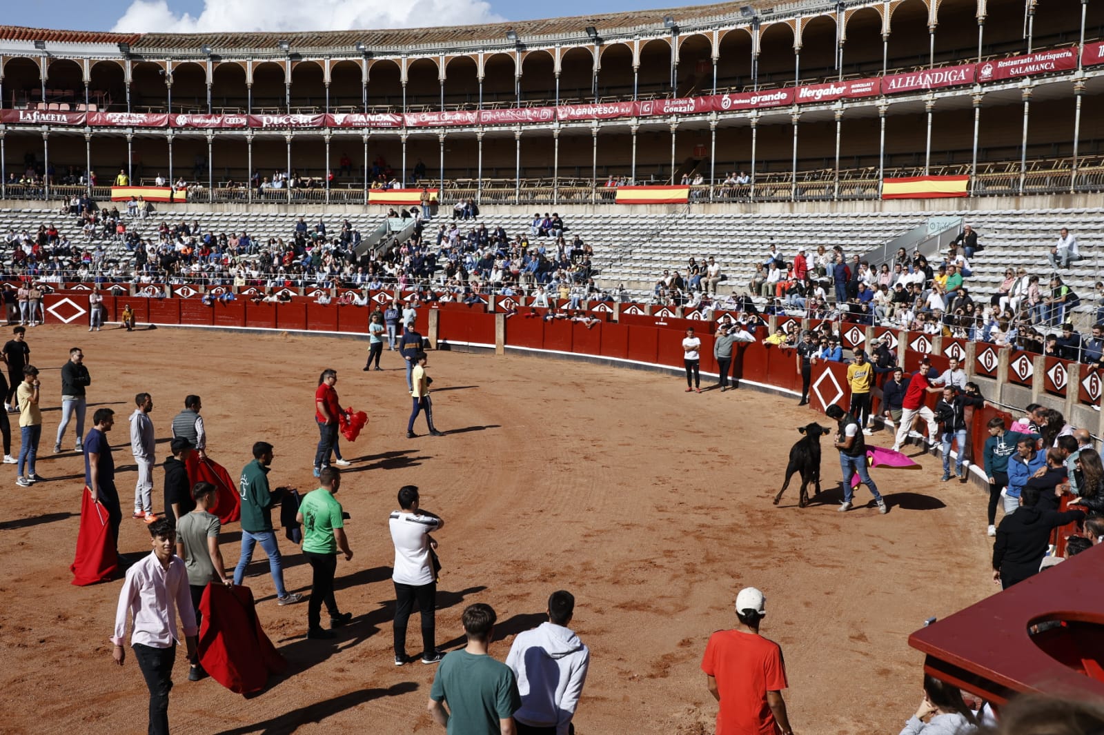 Las vaquillas regresan a La Glorieta