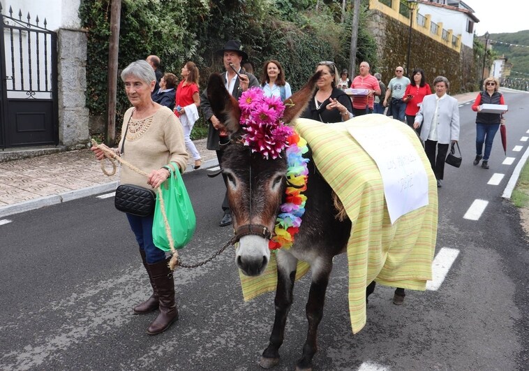 El burro Pepe protagoniza el día de la antigua feria de Montemayor del Río