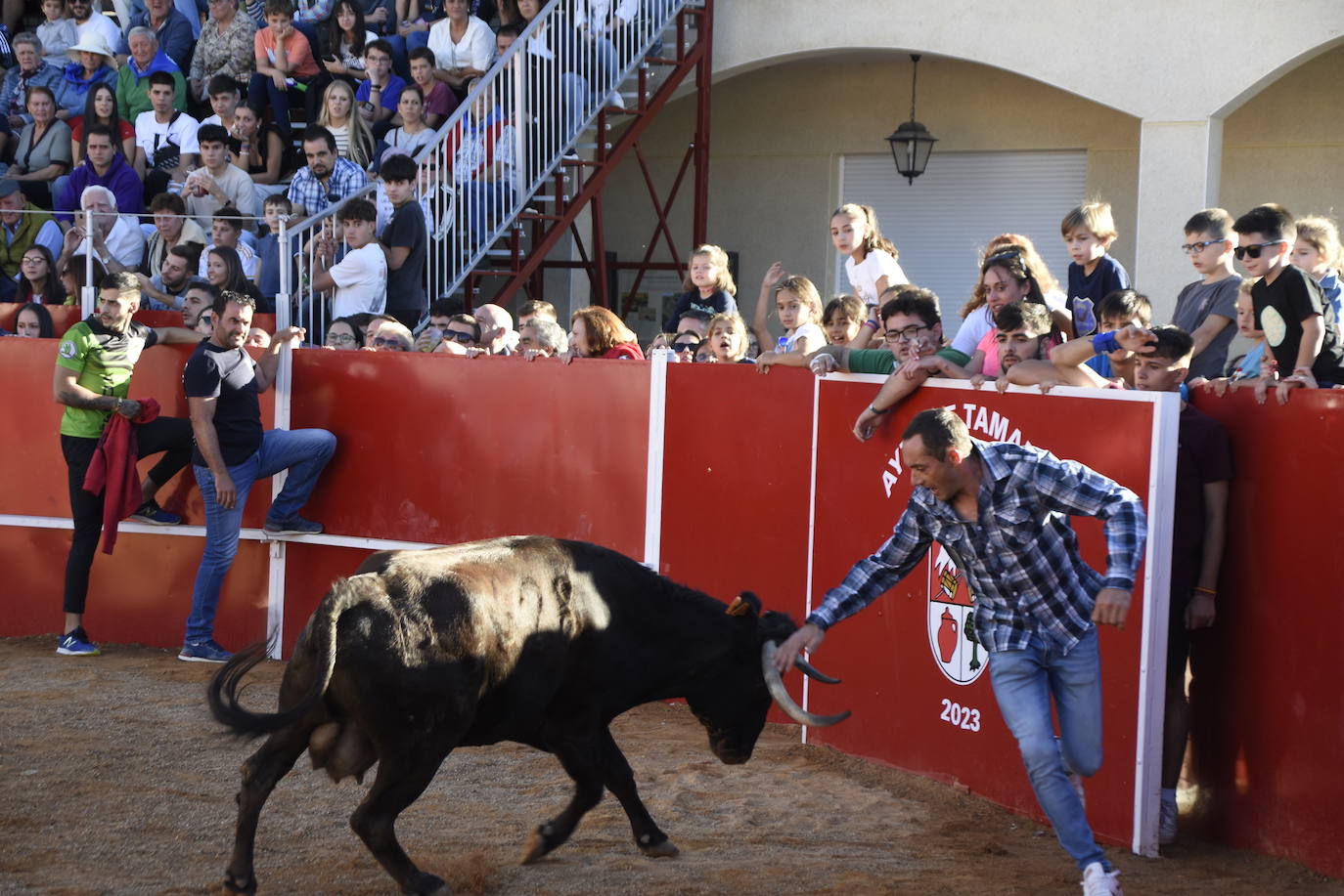 Emoción taurina en el estreno del coso pucherero