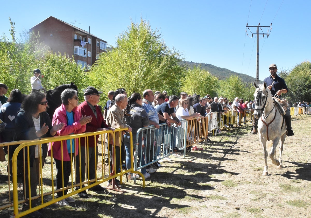 Animada y calurosa mañana de mercado de ganado en Béjar