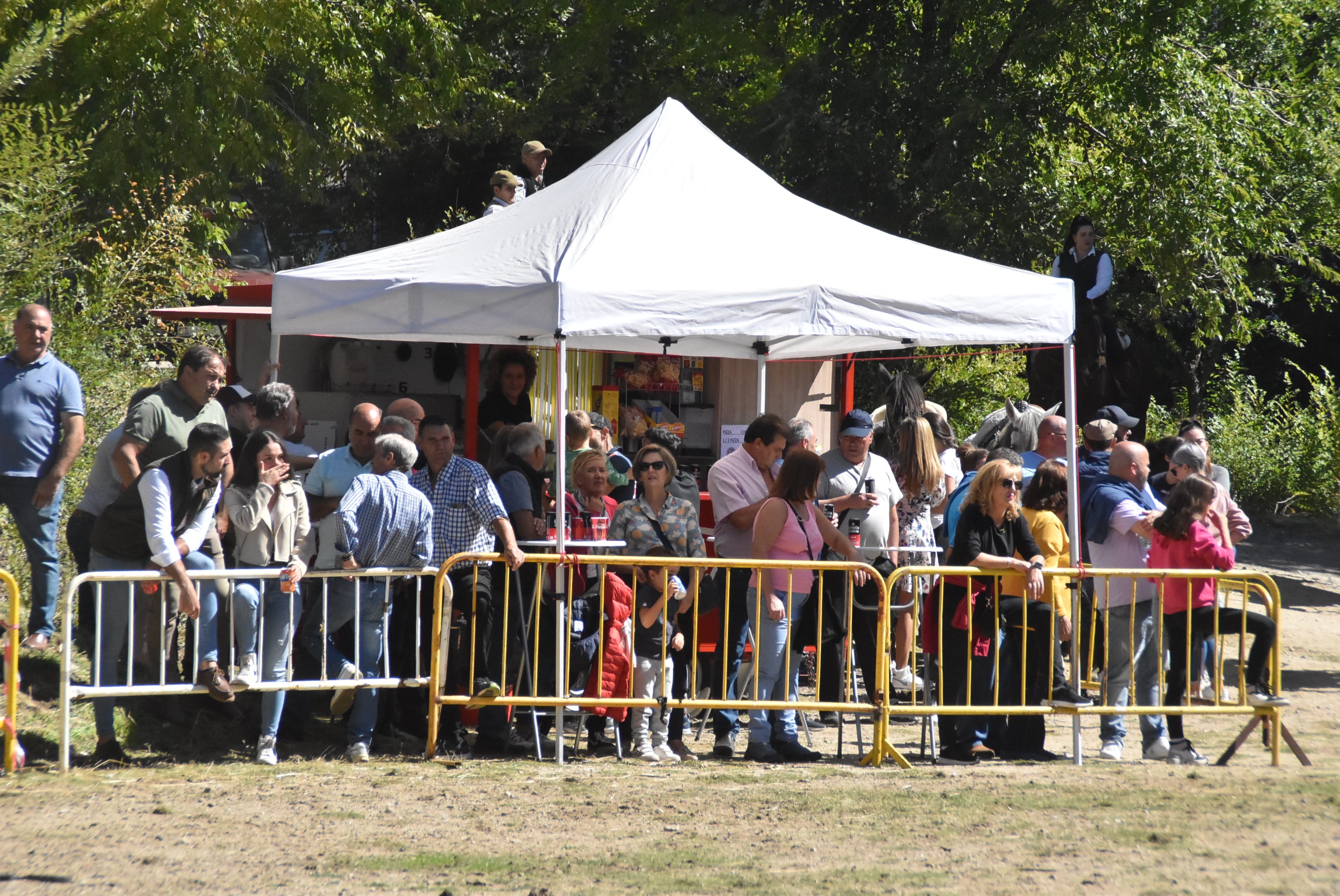 Animada y calurosa mañana de mercado de ganado en Béjar