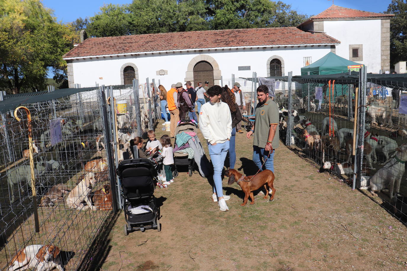 Linares, epicentro de la caza salmantina con su animada feria cinegética