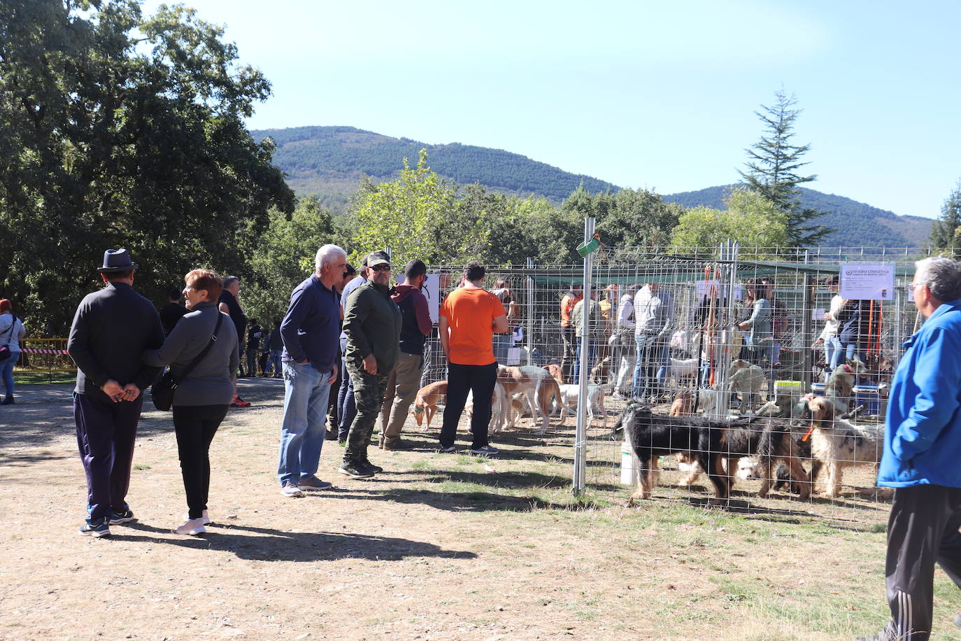 Linares, epicentro de la caza salmantina con su animada feria cinegética