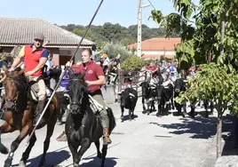 El encierro con caballos y el previo y contundente «almuerzo cebollero» fueron los platos fuertes de 'San Lino Chico' en Espeja