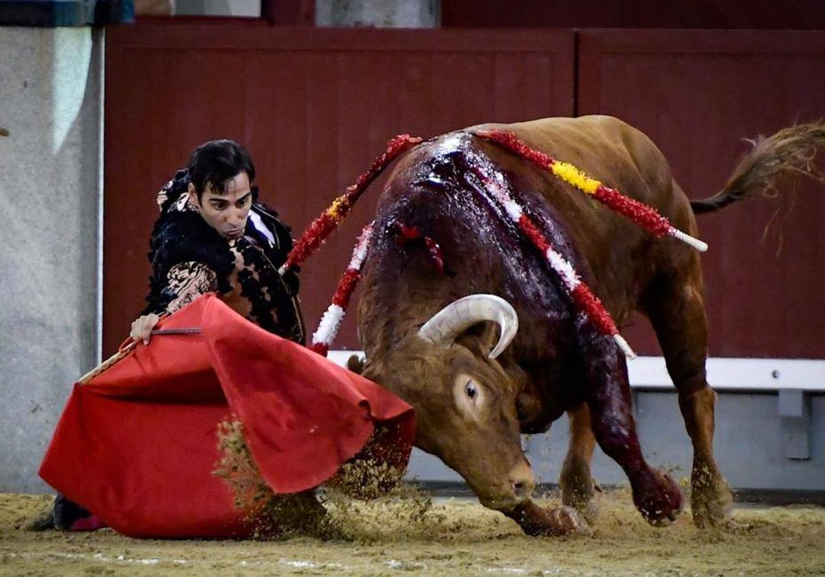 Derechazo de Gómez del Pilar a Sombrero, de Pedraza de Yeltes, en Las Ventas