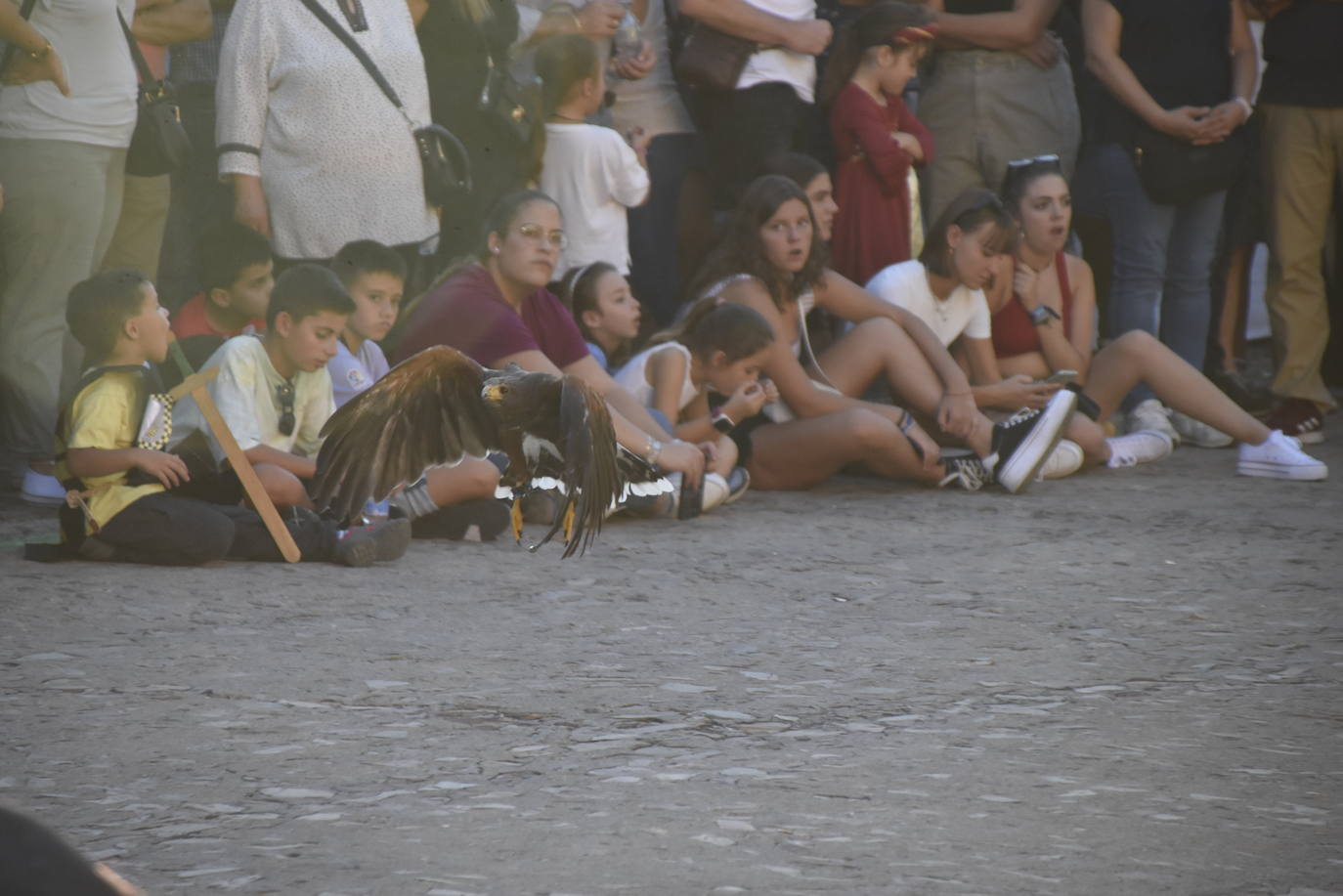 Jubones, cotas, sayas y brocados toman Miróbriga