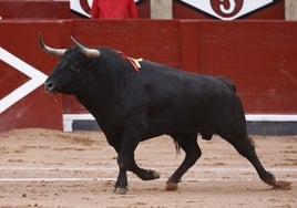 Jaquetón, de La Ventana del Puerto, en La Glorieta.