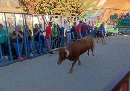 Diversión asegurada en las fiestas de Tarazona