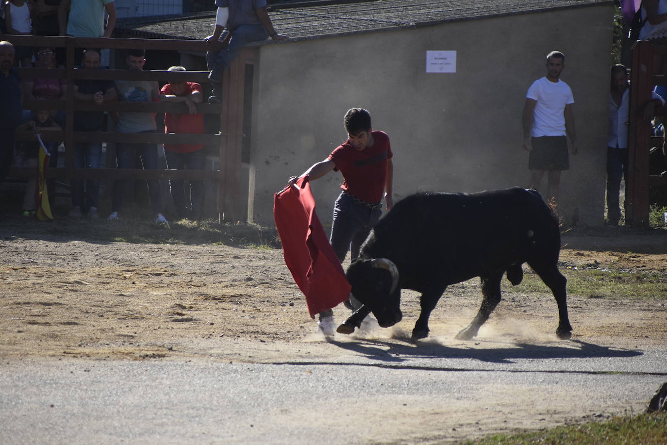 Animado y taurino San Miguel en Pedrotoro