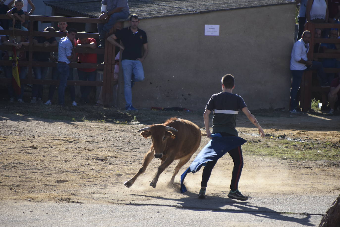 Animado y taurino San Miguel en Pedrotoro