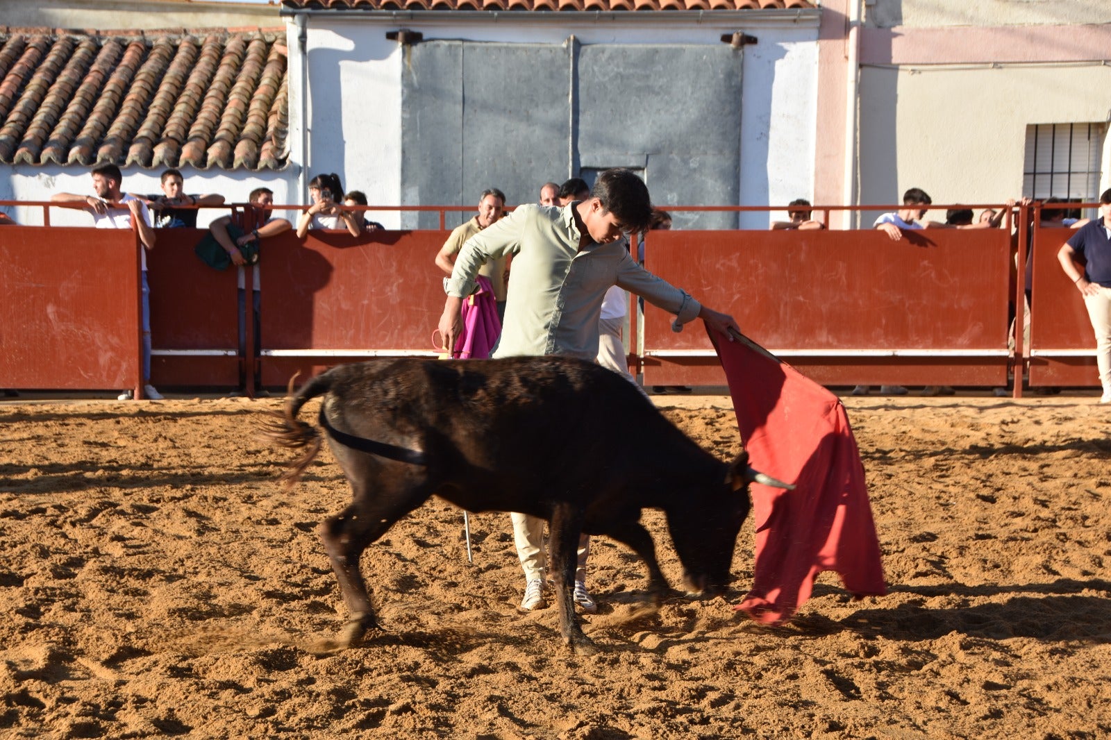 Aldehuela de la Bóveda vibra con el novillo de cajón