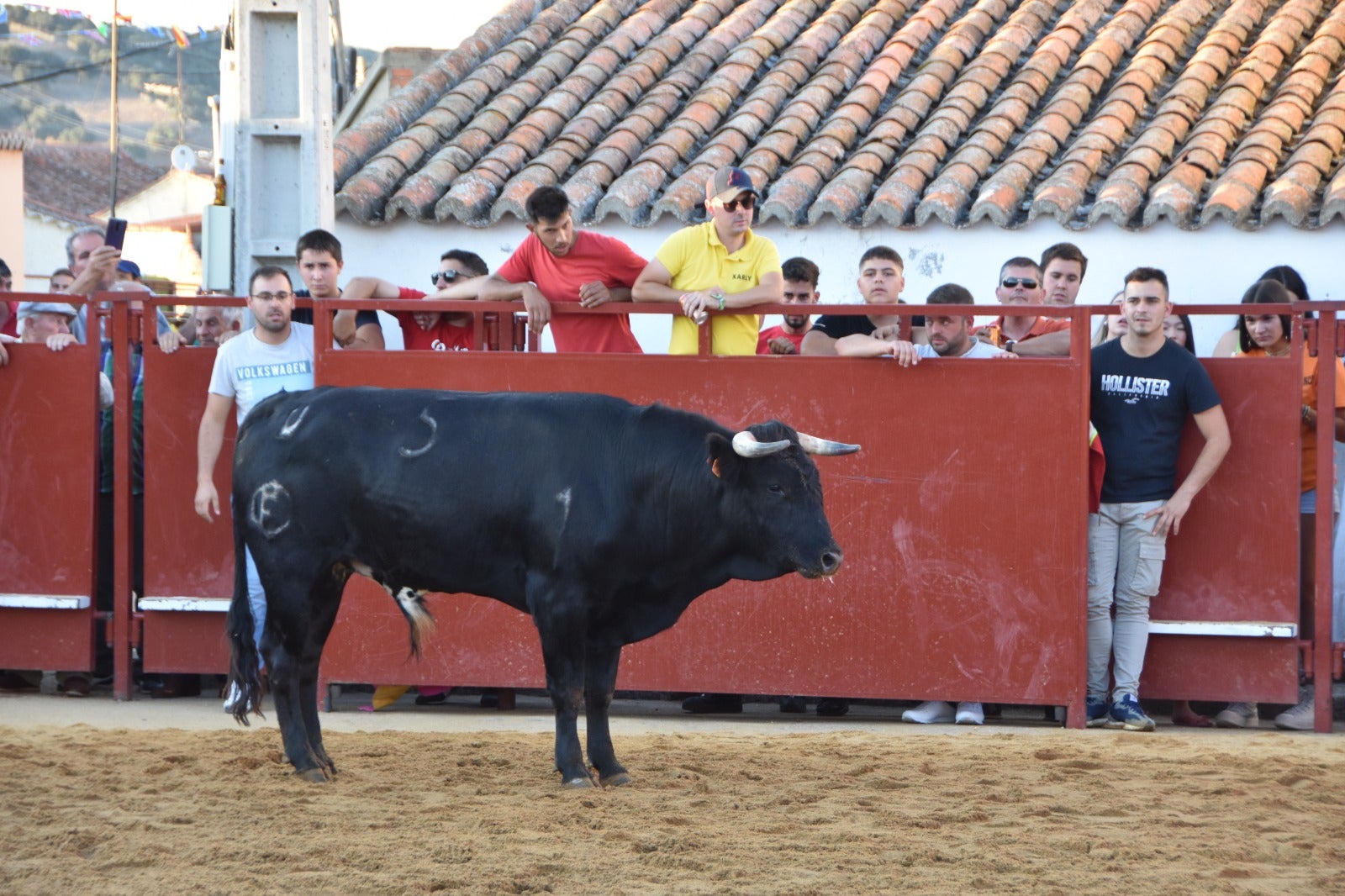 Aldehuela de la Bóveda vibra con el novillo de cajón